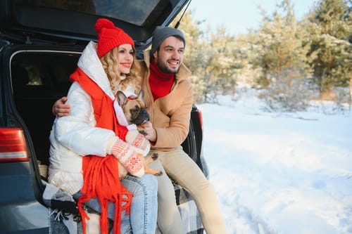 Wintercheck bij Cardepot